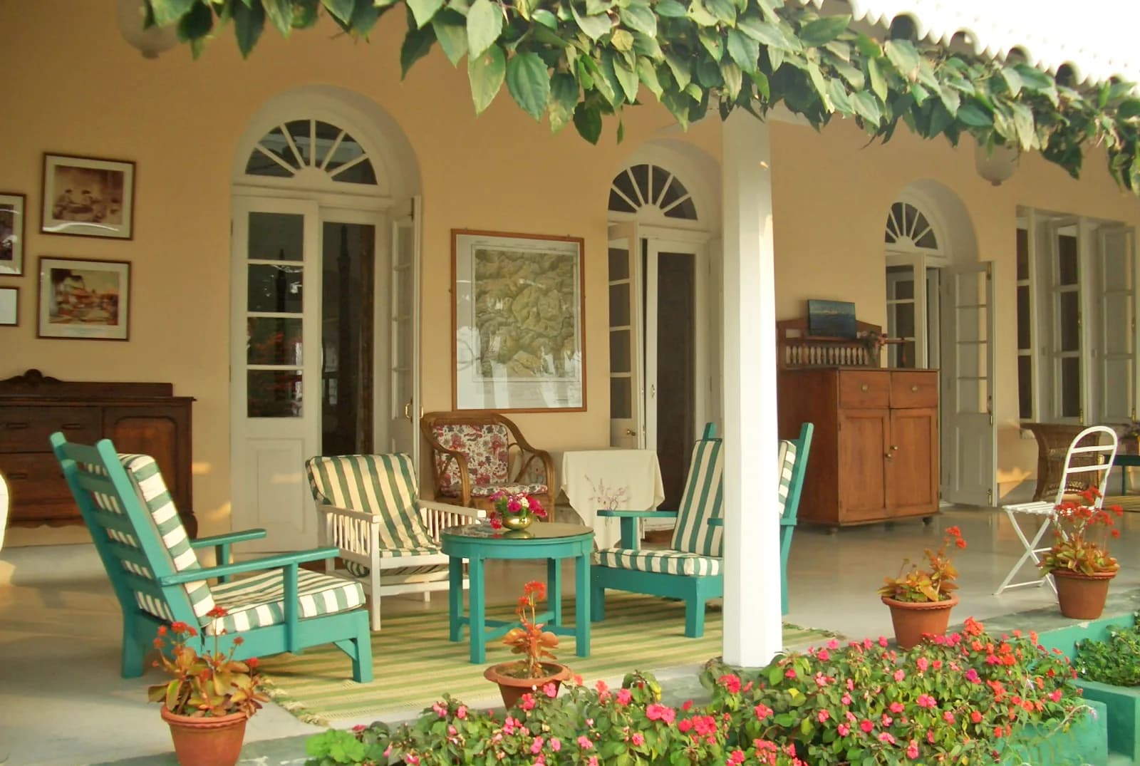 Glenburn Tea Estate