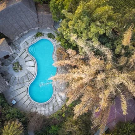 Jim's Jungle Retreat