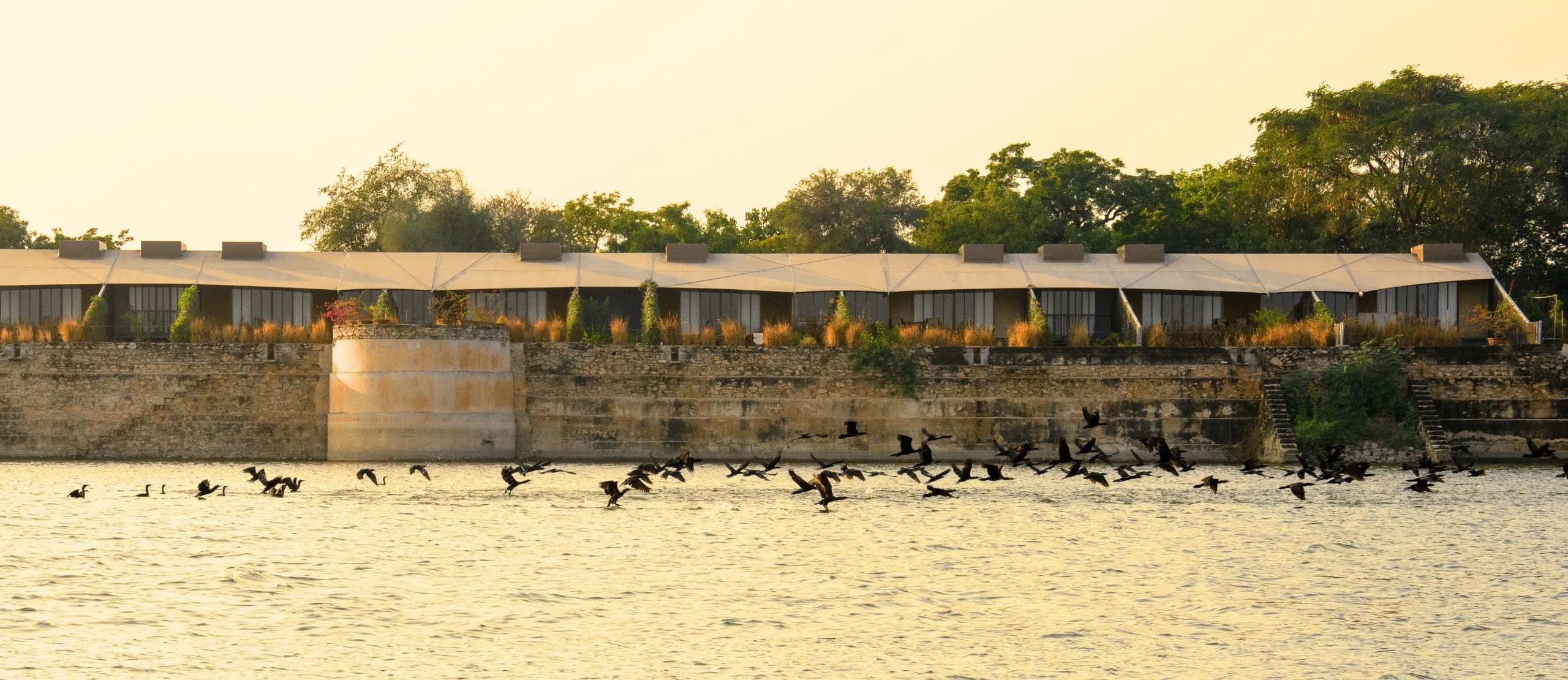 RAAS Chhatrasagar