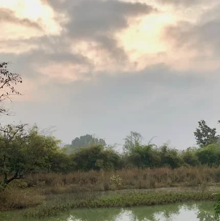 Bagh Villas | Kanha