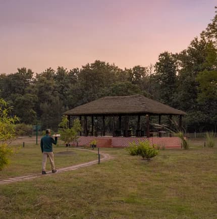Camp Tiger Lily