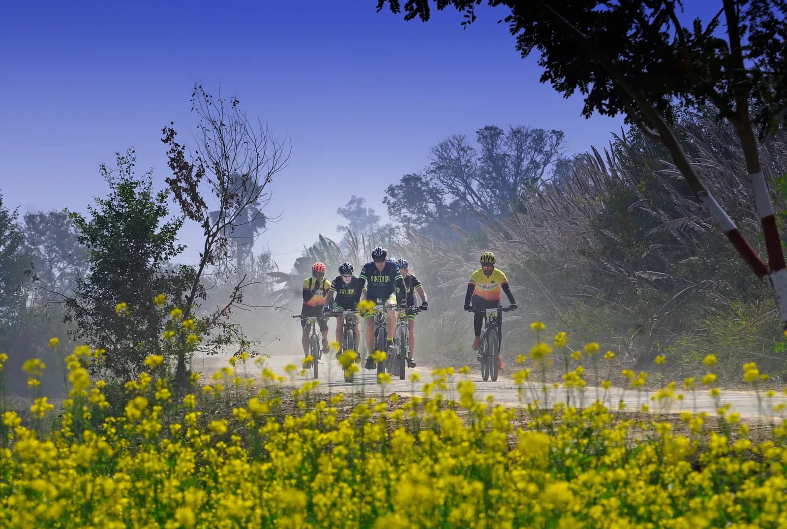 Bicycling