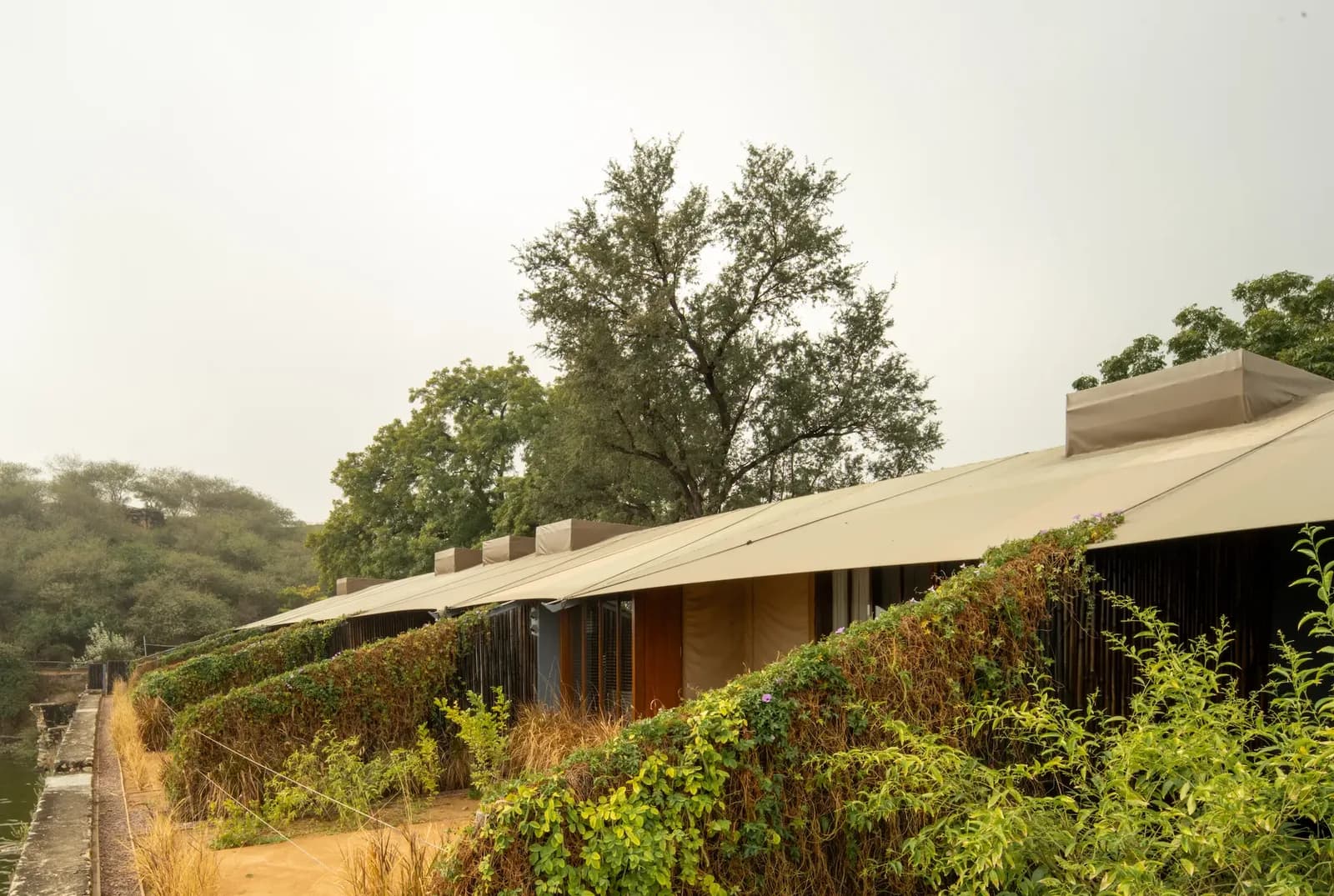 Raas Chhatrasagar Design and Concept