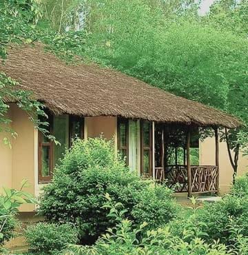 Jungle Family Cottage