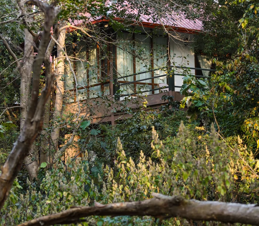 Machan Suite