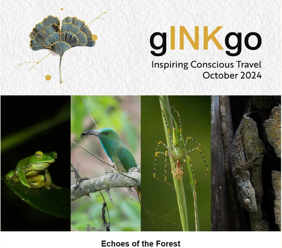 gINKgo | The RARE Newsletter | RARE Wildlife Chronicles | Vol 102 | October 2024