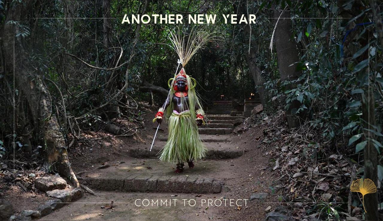 gINKgo | The RARE Newsletter | Commit to Protect in the New Year | Vol 105 | December 2024