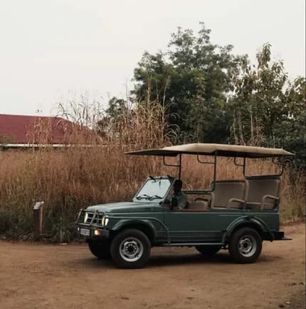 Safari