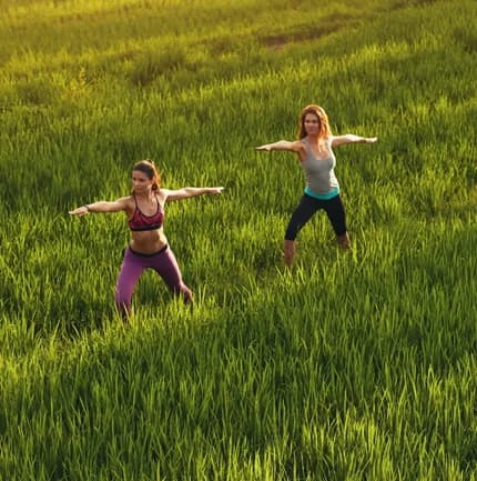 Wellness & Farm Stays