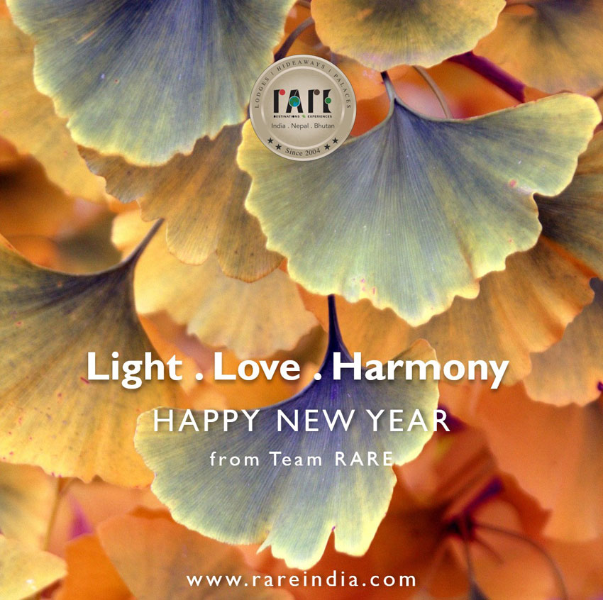 Light . Love .  Harmony | Happy New Year