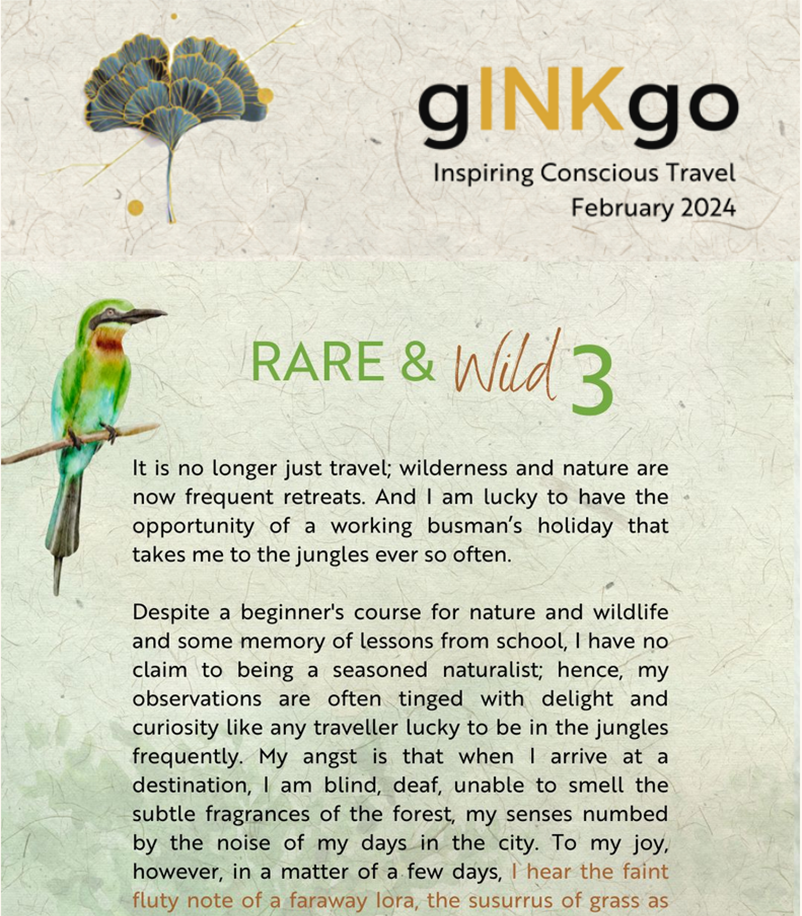gINKgo I The RARE Newsletter | The very heart of India : RARE & Wild, Part 3 | Vol 92 | Feb 2024